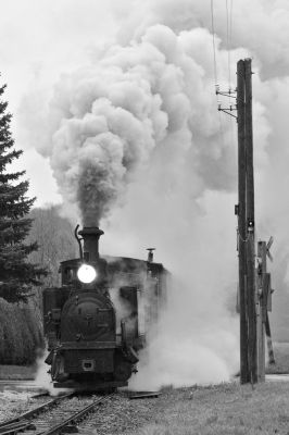 Kreuzung in Aschach an der Steyr, vorbildgerecht mittels Pfeifkonzert umgesetzt. 
Schlüsselwörter: Steyrtalbahn , Aschach , 298.102