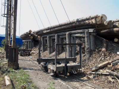 Das Abladen der Stämme von den Trucks erfolgt mittels Seilzügen.
Schlüsselwörter: Wassertalbahn , Trucks