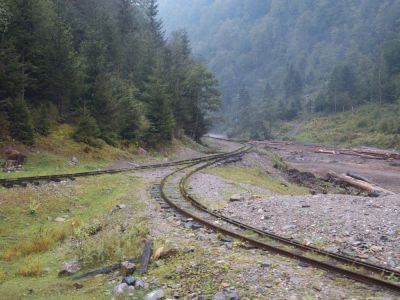 Die ehemals ins Novat-Tal führende Abzweigung ist über ein Gleisdreieck angebunden.
Schlüsselwörter: Wassertalbahn , Gleisdreieck