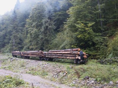 Beladener Langholztransport mit Bremser auf einem Ladegleis unweit von Paltin.
Schlüsselwörter: Wassertalbahn , Trucks