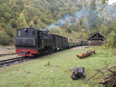 Kreuzungshalt auf der Rückfahrt
Schlüsselwörter: Wassertalbahn , 764