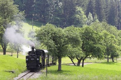 Der kleine Zug hat den Scheitelpunkt der Ybbstalbahn bei Pfaffenschlag erreicht.
Schlüsselwörter: Ybbstalbahn , Bergstrecke , Pfaffenschlag , 298.102