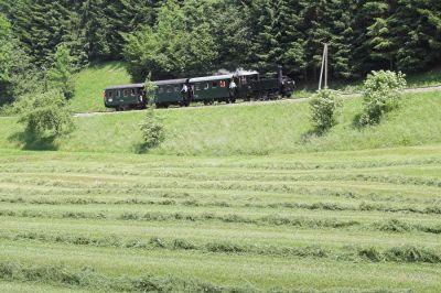 Der Vordergrund ist an dieser Stelle eine sprichwörtliche "g'mahde Wiesn"
Schlüsselwörter: Ybbstalbahn , Bergstrecke , 298.102