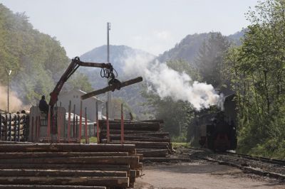 Die Gastlok verläßt das Heizhausgelände. Am Ladeplatz der Normalspur wird inzwischen Holz verladen.
Schlüsselwörter: Ybbstalbahn , Ybbsthalbahn Bergstrecke , Criscior 5 , Kienberg Gaming