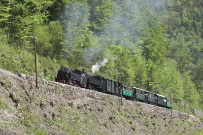 An der Rampe hinauf zur Haltestelle Gaming wurde mächtig ausgeholzt und so entstand eine neue Fotostelle.
Schlüsselwörter: Ybbstalbahn , Ybbsthalbahn Bergstrecke , Uv , Criscior 5 , Gaming