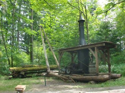 Waldbahnen in Kanada
Dampfkran zur Holzverladung
