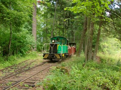 Waldbahnen in Kanada
No. 26, ex Cowichan Valley Railway, Spur 914 mm
