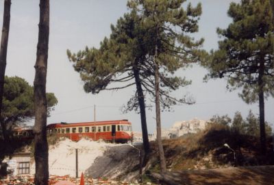 A la plage
Triewagen 202 passiert ein Club-Restaurant, das sich im Pinienhain in der Bucht von Calvi befindet. Im Hintergrund die Zitadelle und die Altstadt.
Schlüsselwörter: Chemin de fer de la Corse