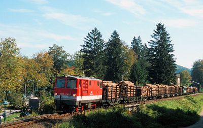 012a_Holzzug_bei_Waidhofen_Lokalbahn_05_10_2004.jpg