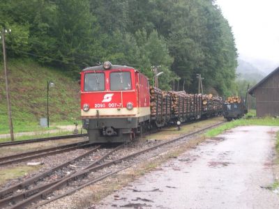 Holzgüterzug
Der Holzzug im Verschub in Opponitz.
Schlüsselwörter: 2095 , 007