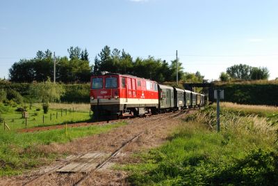 Waldviertler Schmalspurbahnen
Der Sonntagszug aus Groß Gerungs befährt das Gleisdreieck von Gmünd
