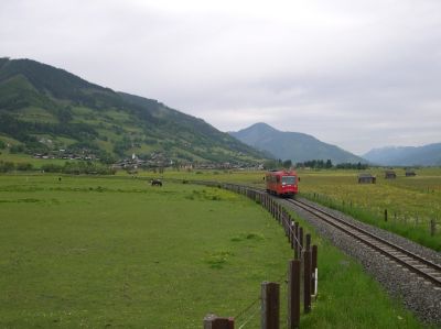 Walchen_im_Pinzgau05n.JPG