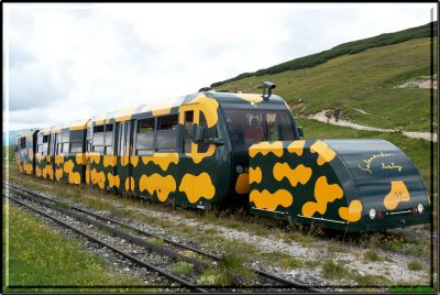 Schneebergbahn
Salamander-Dieseltriebzug fährt gerade im Bahnhof Hochschneeberg ein.
Schlüsselwörter: Schneebergbahn, Salamander, Zahnradbahn, Hochschneeberg