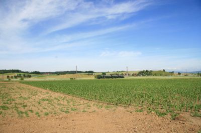 die 2190.03 bei ihrer Sonderfahrt in den Weiten der Felder
Sonderfahrt anläßlich des Schmalspurfestivals zu Pfingsten.
Schlüsselwörter: 2190 , 003 , Schmalspurfestival , Pfingsten