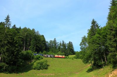 Am Hang
Die 1099.008 zieht die Garnitur des Dirndltalers hier kurz vor Durchfahren des Stettenriegel-Tunnels.
Schlüsselwörter: 1099 , 008 , Loich , Dirndltaler , Natterstal , Nordrampe