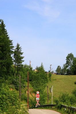 Abschied
Der auf dem Bild nur zu erahnende Zug stellt meinen letzten Bildbeitrag aus diesem Sommerurlaub dar.
Schlüsselwörter: 1099 , 008 , Loich,  Dirndltaler , Natterstal , Nordrampe