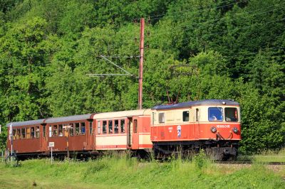 ländlicher Idyll
Die 1099.016 zieht hier kurz vor Loich den P6815 Bergwärts vorbei an frisch gemähten Wiesen. 
Schlüsselwörter: 1099 , 016 , P6815 , Loich