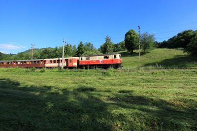 ländlicher Idyll
Die 1099.016 zieht hier kurz vor Loich den P6815 Bergwärts vorbei an frisch gemähten Wiesen. 
Schlüsselwörter: 1099 , 016 , P6815 , Loich