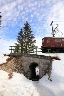 Pendler in Mitterbach
Der Gösinpendler (1099.013 in Persona) auf einem Durchlaß in Mitterbach.
Schlüsselwörter: 1099.013, Mitterbach, Ötscherbär