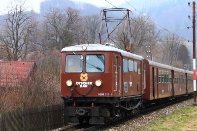 ein Bär
der Ötscherbär auf seiner Bergfahrt hier bei der Ausfahrt aus Kirchberg
Schlüsselwörter: 1099.013, Ötscherbär, Kirchberg