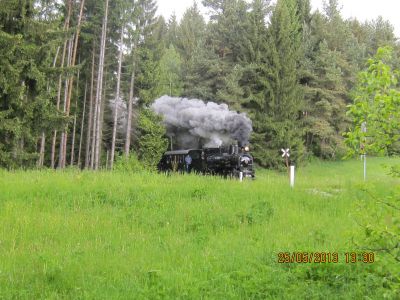 Im Wald nächst Bad Großpertholz
