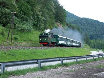 Holztrifterzug
Der Zug bei Kleinhollenstein.
