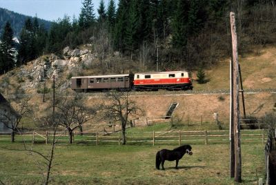 1099.005
Leider längst vergangene Lokalbahnidylle mit Pony im Vordergrund...
Die 1099.005 ist mit dem GmP 81202 kurz vor Sigmundsberg Richtung Mariazell unterwegs.
Scan vom Dia
Schlüsselwörter: 1099 , 005 , Mariazellerbahn , Mariazell , Gußwerk
