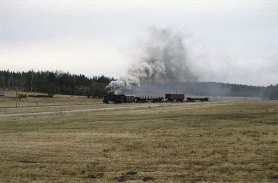 399.04
Die 399.04 ist mit dem morgendlichen Güterzug zwischen Alt Nagelberg und Brand Richtung Litschau unterwegs
Schlüsselwörter: Waldviertel , Nordast , 399 , 04