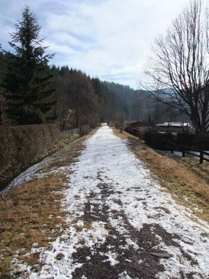 Au-Seewiesen
Auch 50 Jahre nach der Einstellung des Streckenabschnittes Seebach-Thurnau - Au-Seewiesen ist die Bahntrasse zum Großteil noch deutlich erkennbar und als Wanderweg genützt.
Schlüsselwörter: Au-Seewiesen, Thörlerbahn