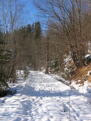 Mariazell - Gußwerk
Unter dem Schnee liegen keine Gleise mehr. Der Pfeifpflock und die Oberleitung haben auch schon bessere Zeiten gesehen ...
Schlüsselwörter: Mariazellerbahn , Mariazell , Gußwerk