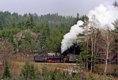 Waldviertel 1975 Harruck 2
Exakta Varex IIa, Kodacolor II
Schlüsselwörter: 399.04