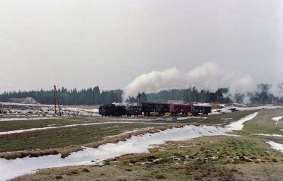 Waldviertel 1975 Harruck 4
Exakta Varex IIa, Kodacolor II
Schlüsselwörter: 399.04