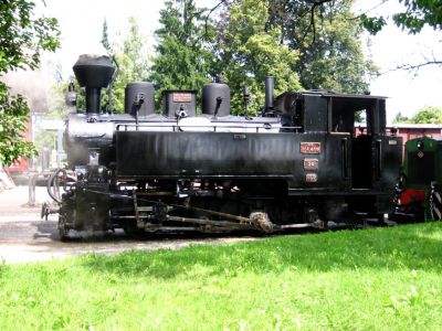 Museumsbahn Stainz
Die rumänische Waldbahnlok 764.411R bereitet sich auf das Ankuppeln vor dem Flascherlzug im Bhf. Stainz vor.
Schlüsselwörter: Flascherlzug, Stainz, Waldbahn,